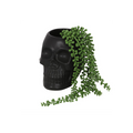 Black Skull Plant Pot