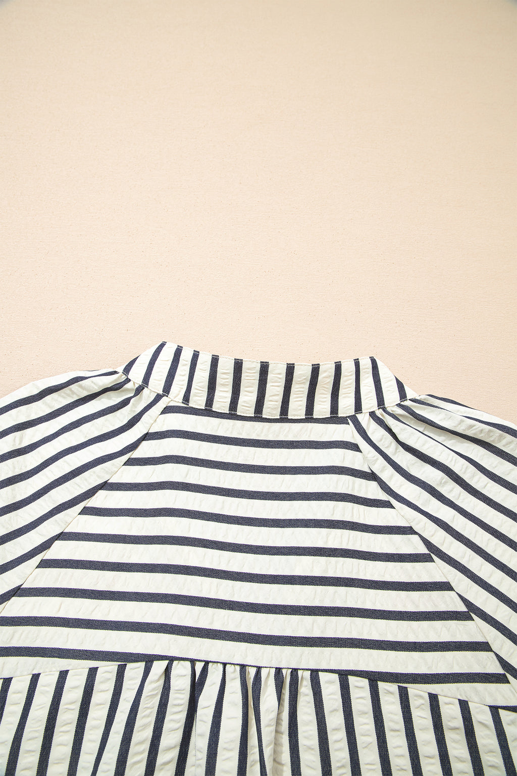 Blue Stripe Floral Embroidered Detail V Neck Short Sleeve Blouse