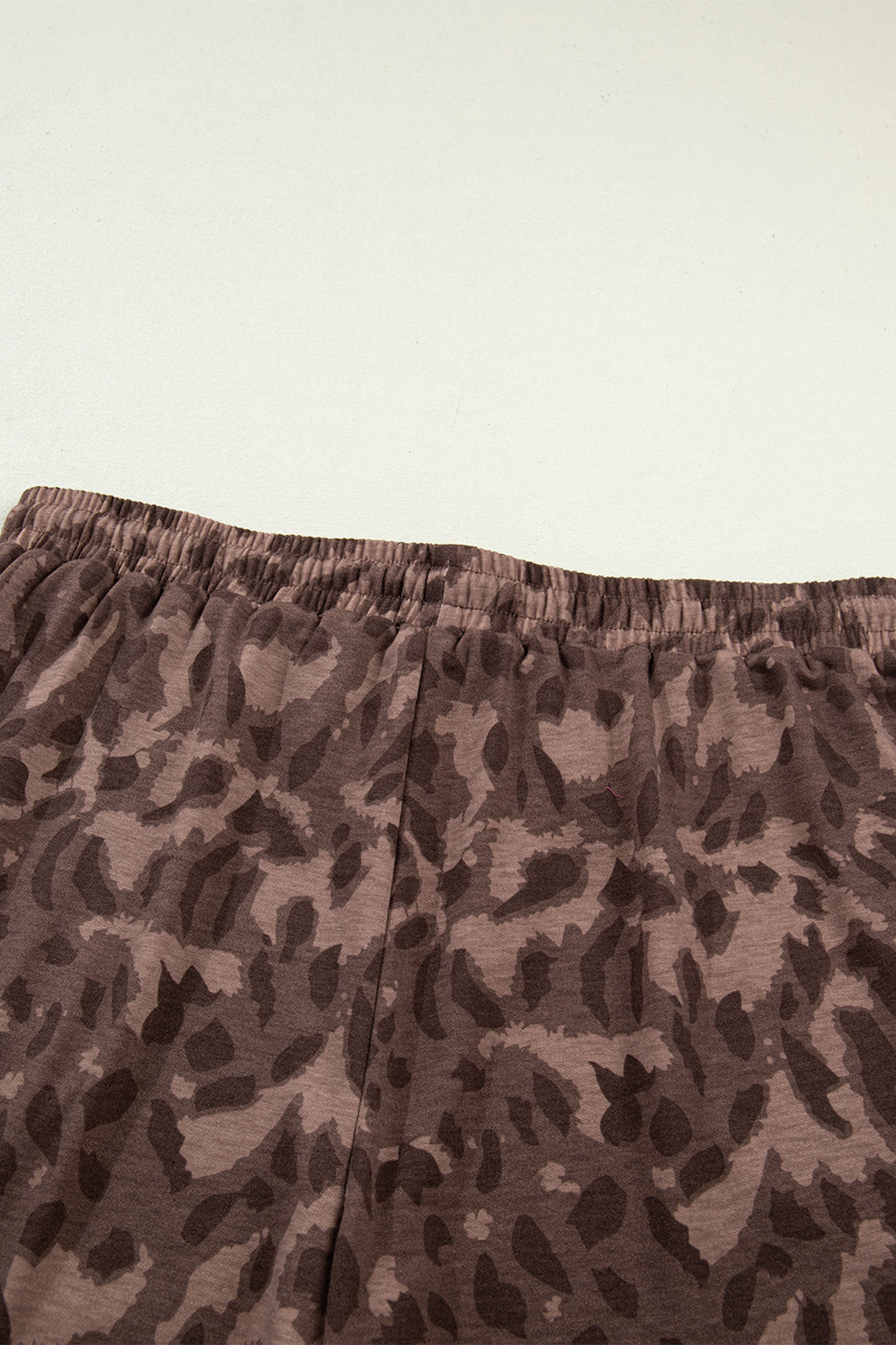 Brown Retro Leopard Print Contrast Varsity Stripe Trim Plus Size 2pcs Short Set