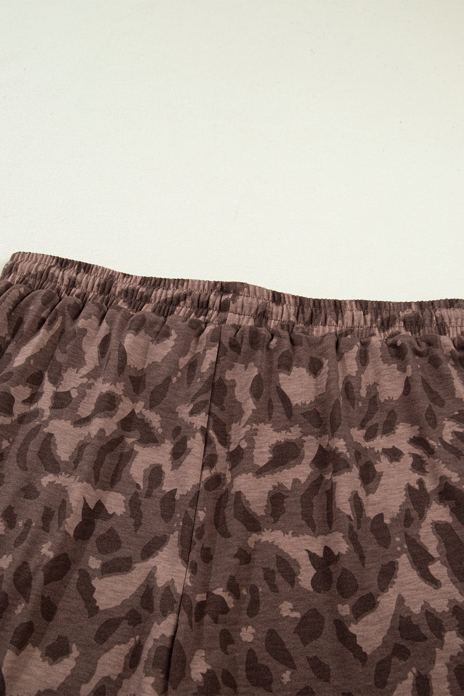 Brown Retro Leopard Print Contrast Varsity Stripe Trim Plus Size 2pcs Short Set