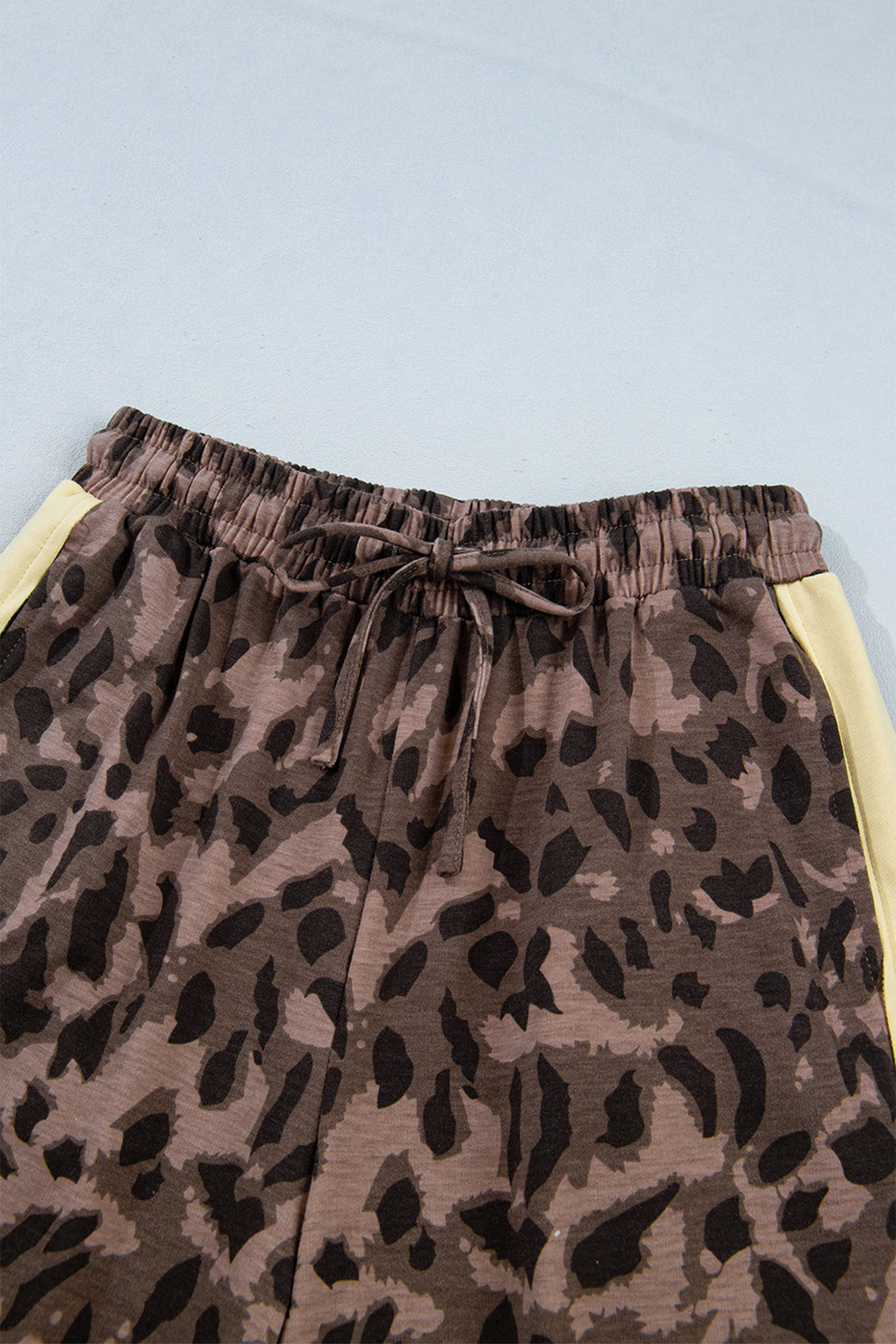 Brown Leopard Print Long Sleeve V-Neck Wide Leg Pant Set