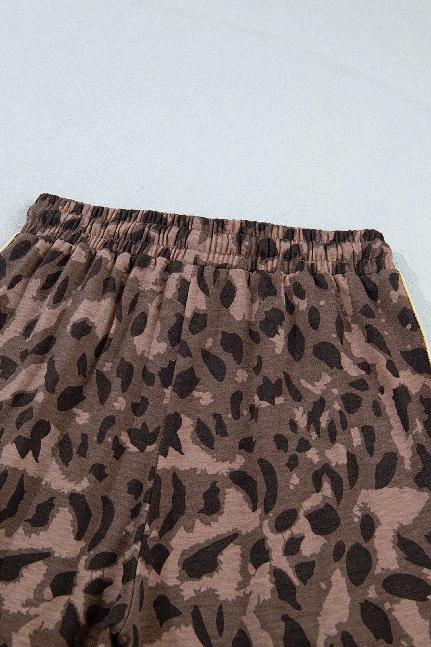 Brown Leopard Print Long Sleeve V-Neck Wide Leg Pant Set
