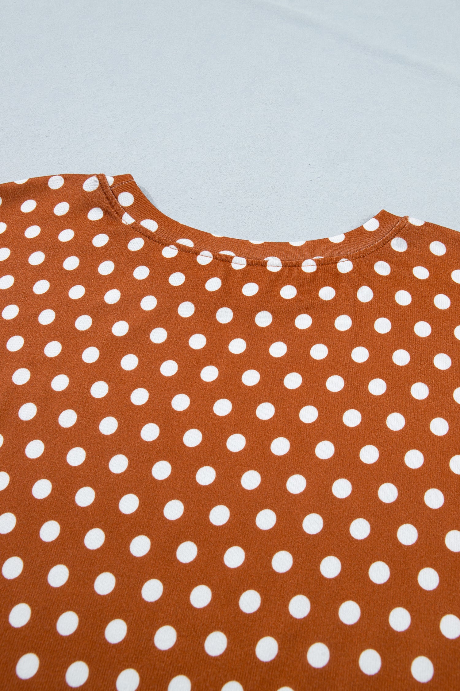 Brown Polka Dot Print Dropped Shoulder Tee Plus Size Short Set