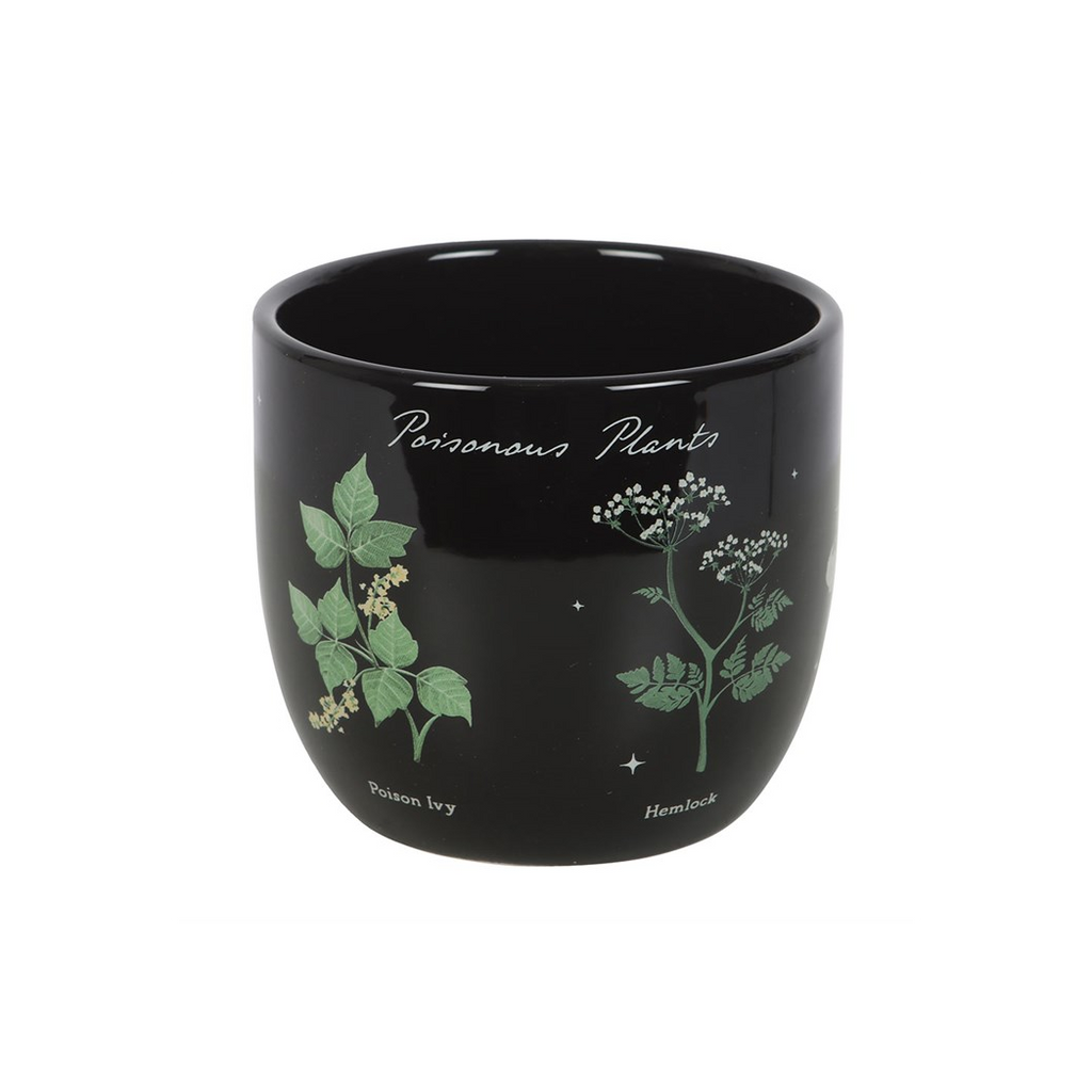 Poisonous Plants Plant Pot